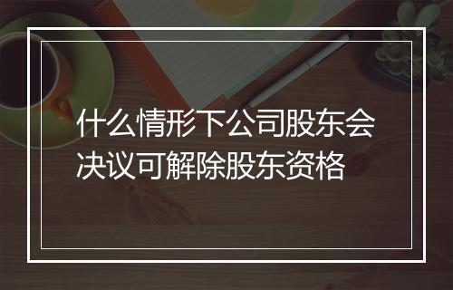 什么情形下公司股东会决议可解除股东资格