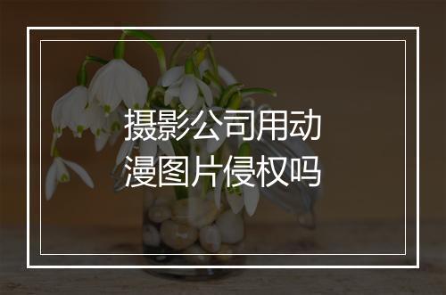 摄影公司用动漫图片侵权吗