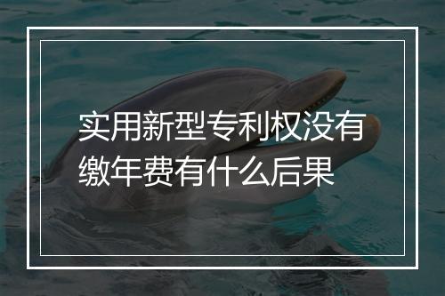 实用新型专利权没有缴年费有什么后果