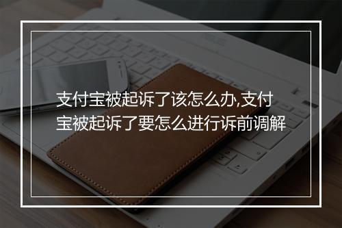 支付宝被起诉了该怎么办,支付宝被起诉了要怎么进行诉前调解