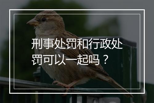 刑事处罚和行政处罚可以一起吗？