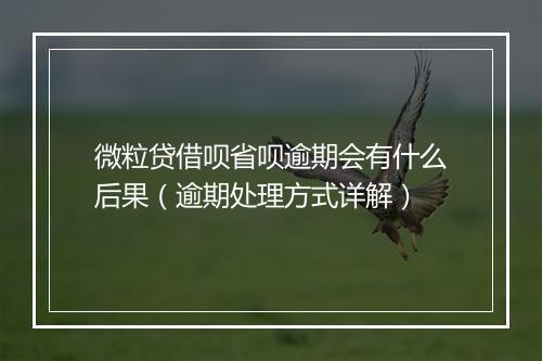 微粒贷借呗省呗逾期会有什么后果（逾期处理方式详解）