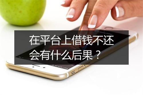 在平台上借钱不还会有什么后果？