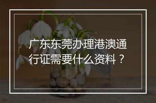 广东东莞办理港澳通行证需要什么资料？