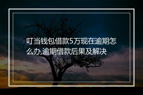叮当钱包借款5万现在逾期怎么办,逾期借款后果及解决