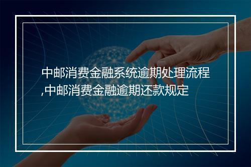 中邮消费金融系统逾期处理流程,中邮消费金融逾期还款规定