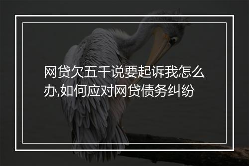 网贷欠五千说要起诉我怎么办,如何应对网贷债务纠纷