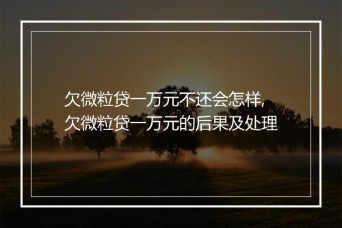 欠微粒贷一万元不还会怎样,欠微粒贷一万元的后果及处理
