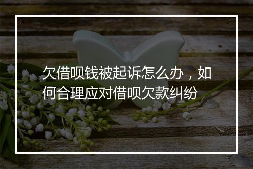 欠借呗钱被起诉怎么办，如何合理应对借呗欠款纠纷
