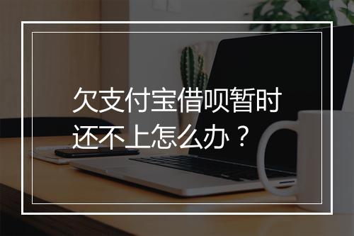 欠支付宝借呗暂时还不上怎么办？