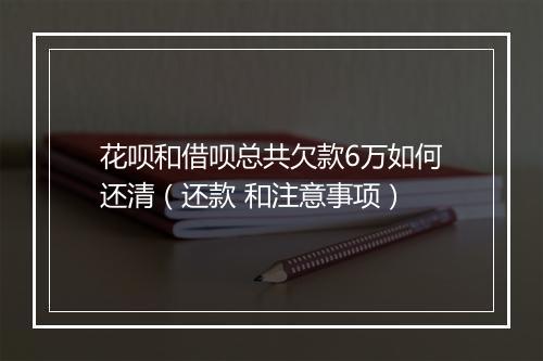 花呗和借呗总共欠款6万如何还清（还款 和注意事项）