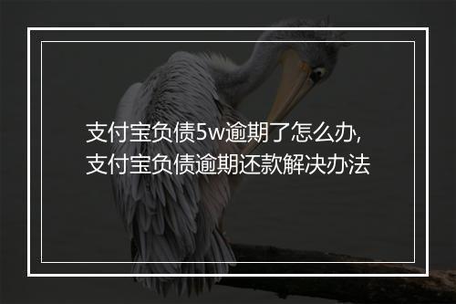 支付宝负债5w逾期了怎么办,支付宝负债逾期还款解决办法