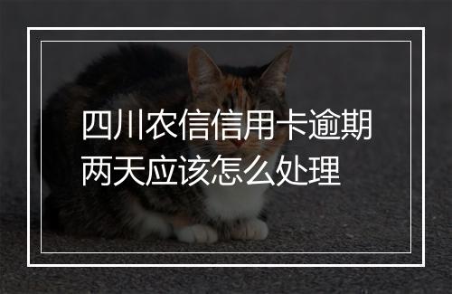 四川农信信用卡逾期两天应该怎么处理