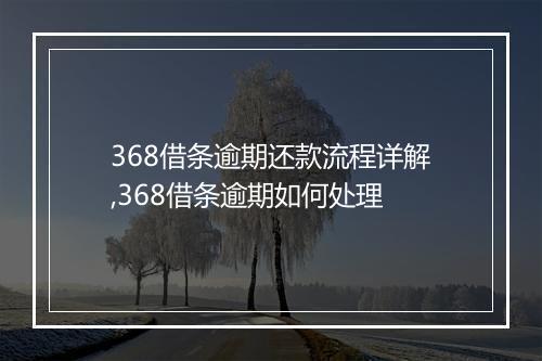 368借条逾期还款流程详解,368借条逾期如何处理