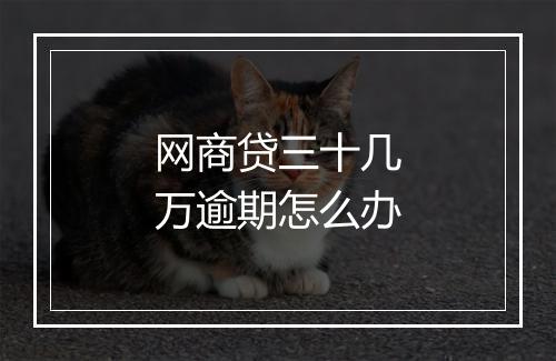 网商贷三十几万逾期怎么办