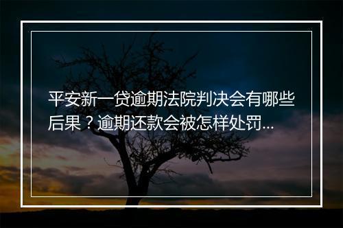 平安新一贷逾期法院判决会有哪些后果？逾期还款会被怎样处罚？