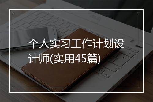 个人实习工作计划设计师(实用45篇)