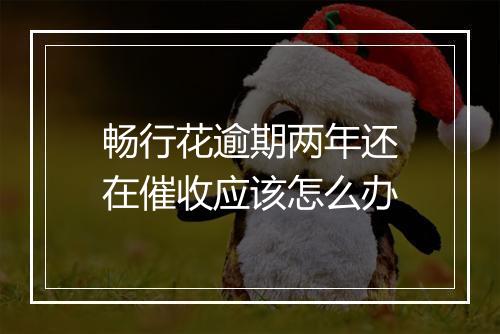 畅行花逾期两年还在催收应该怎么办