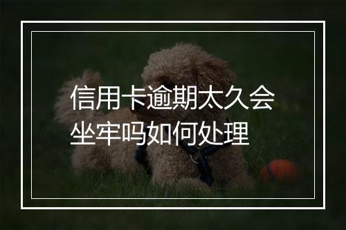 信用卡逾期太久会坐牢吗如何处理
