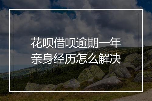花呗借呗逾期一年亲身经历怎么解决