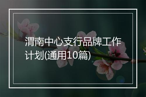 渭南中心支行品牌工作计划(通用10篇)