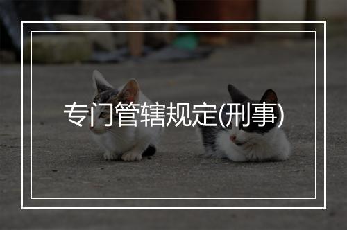 专门管辖规定(刑事)