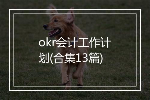 okr会计工作计划(合集13篇)