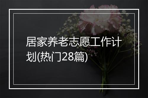 居家养老志愿工作计划(热门28篇)