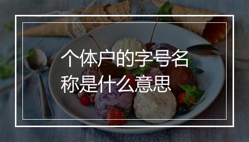 个体户的字号名称是什么意思