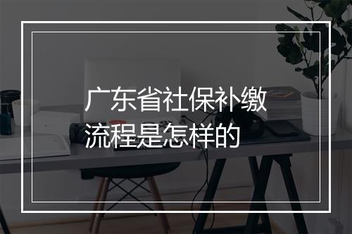 广东省社保补缴流程是怎样的