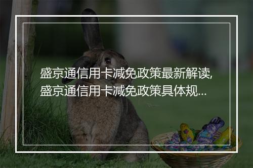 盛京通信用卡减免政策最新解读,盛京通信用卡减免政策具体规定