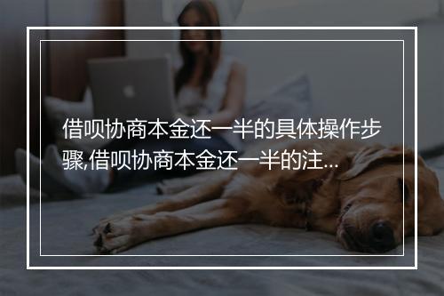 借呗协商本金还一半的具体操作步骤,借呗协商本金还一半的注意事项