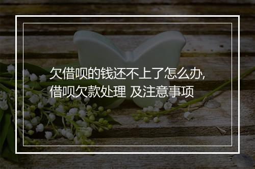 欠借呗的钱还不上了怎么办,借呗欠款处理 及注意事项