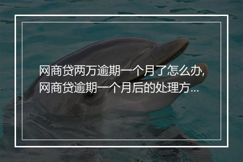 网商贷两万逾期一个月了怎么办,网商贷逾期一个月后的处理方式