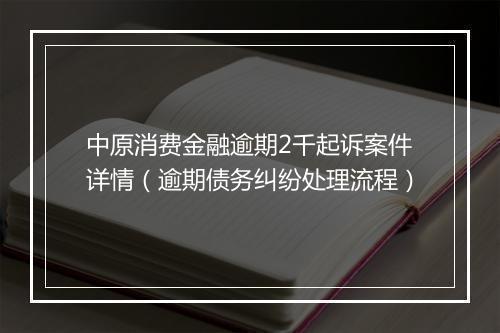 中原消费金融逾期2千起诉案件详情（逾期债务纠纷处理流程）