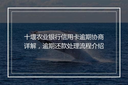 十堰农业银行信用卡逾期协商详解，逾期还款处理流程介绍