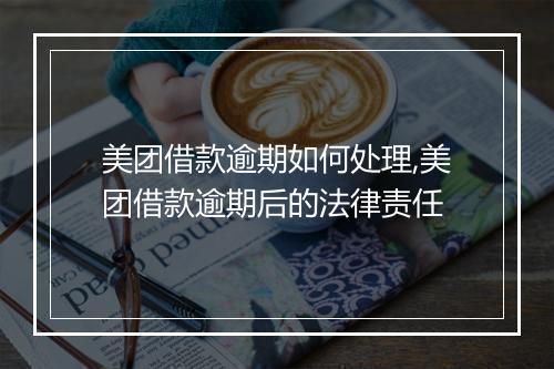 美团借款逾期如何处理,美团借款逾期后的法律责任