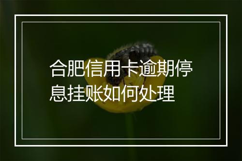 合肥信用卡逾期停息挂账如何处理