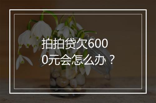 拍拍贷欠6000元会怎么办？