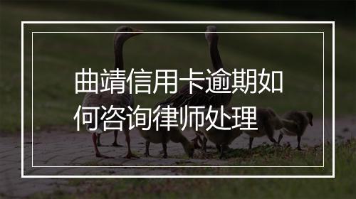 曲靖信用卡逾期如何咨询律师处理