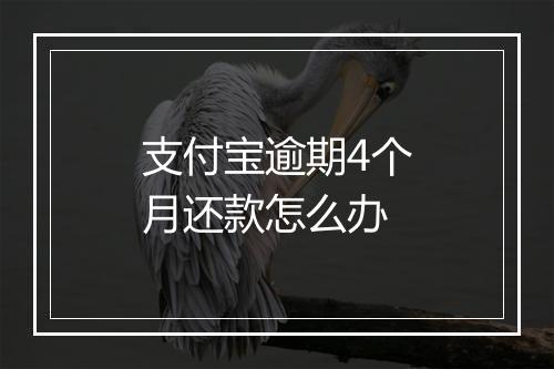 支付宝逾期4个月还款怎么办