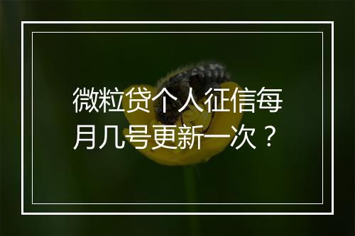 微粒贷个人征信每月几号更新一次？