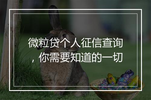 微粒贷个人征信查询，你需要知道的一切