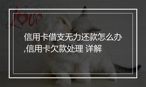 信用卡借支无力还款怎么办,信用卡欠款处理 详解