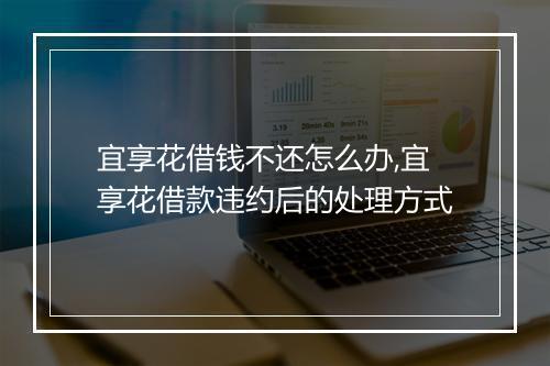 宜享花借钱不还怎么办,宜享花借款违约后的处理方式