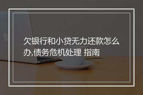欠银行和小贷无力还款怎么办,债务危机处理 指南