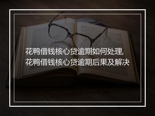 花鸭借钱核心贷逾期如何处理,花鸭借钱核心贷逾期后果及解决