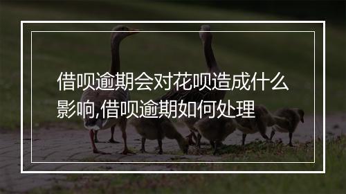 借呗逾期会对花呗造成什么影响,借呗逾期如何处理