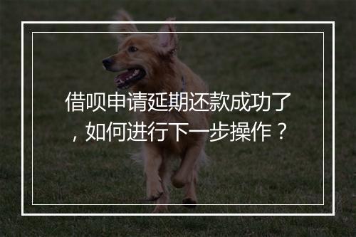 借呗申请延期还款成功了，如何进行下一步操作？