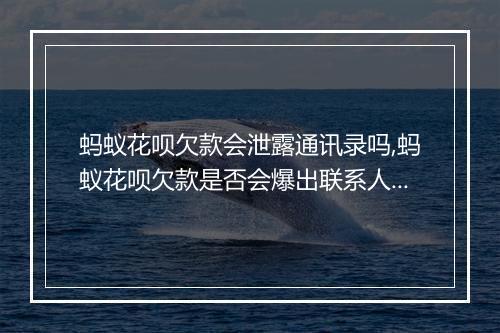 蚂蚁花呗欠款会泄露通讯录吗,蚂蚁花呗欠款是否会爆出联系人信息